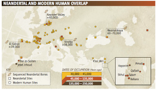 Illustration for article titled It's Official: Some Of You Are Human-Neandertal Hybrid Babies